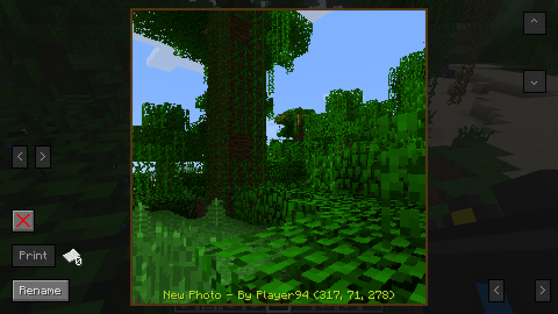 Cameracraft Minecraft In Game Camera Mod In Game Photography